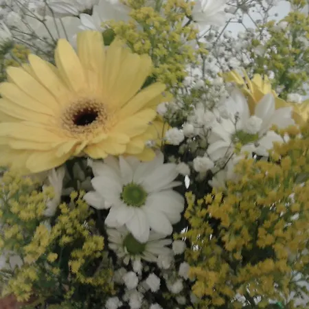 Fernando سانتيانا ذيل مار