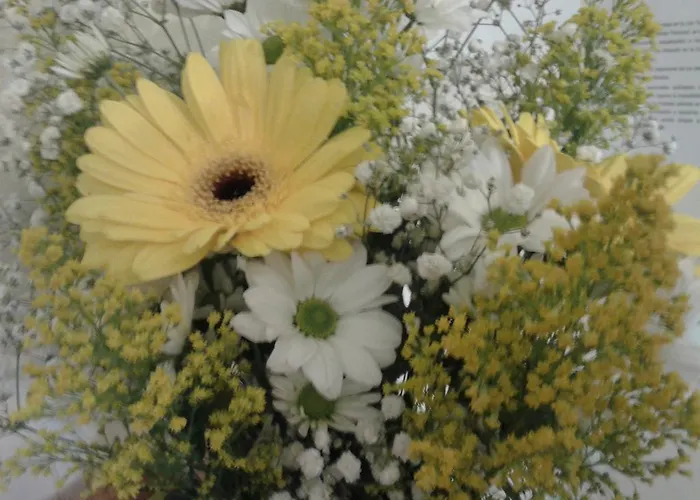 Fernando Santillana del Mar